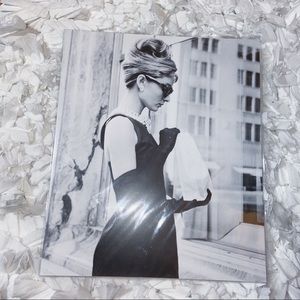 Sealed Audrey Hepburn decorative art print